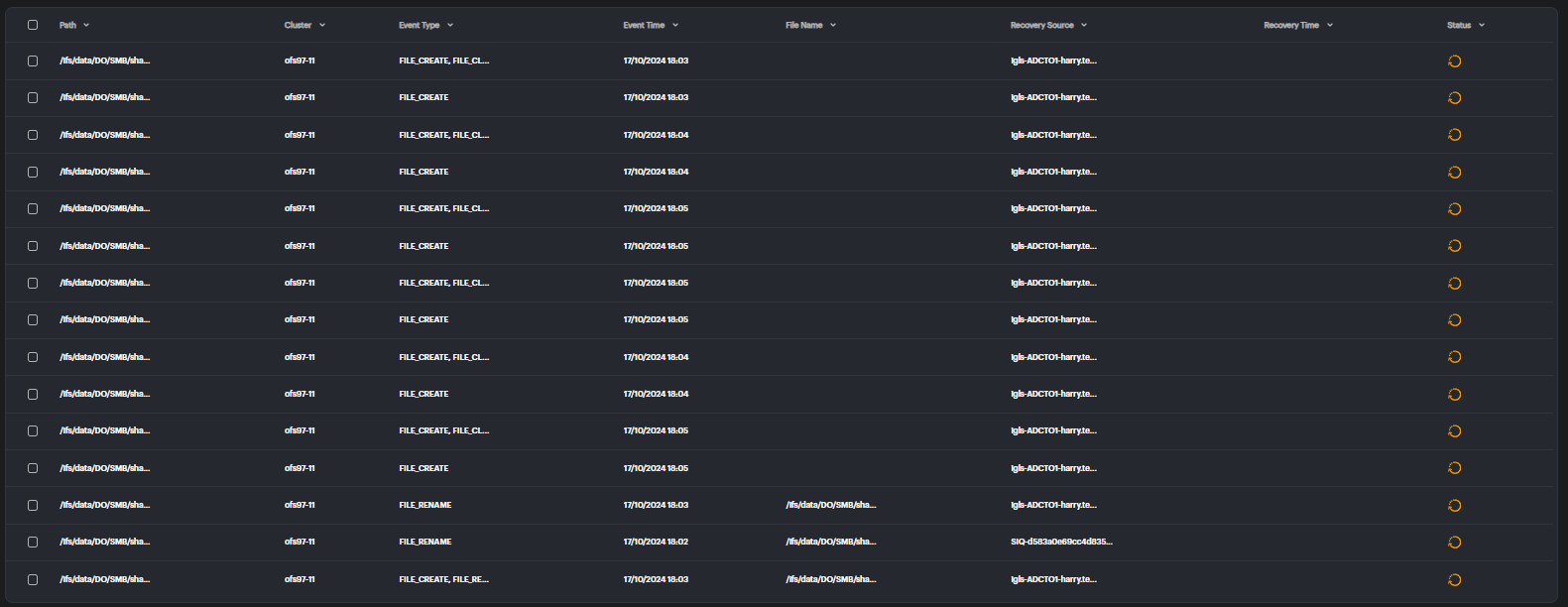 Detailed File Activity in Recovery Manager